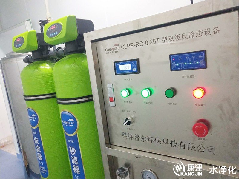  口罩廠0.25噸雙級反滲透純化水設(shè)備